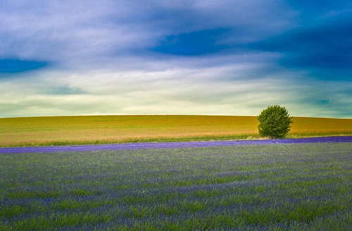 石家庄第二十五中学职教部有没有计算机及应用专业?