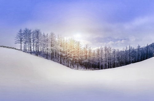 衡水职业技术学院招生专业有哪些?有会计专业吗?