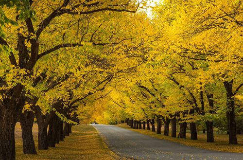 石家庄裕华区职业技术教育中心有没有数字媒体技术应用专业?