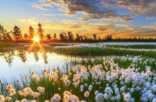 重庆能源工业技师学院有焊接技术应用专业吗?