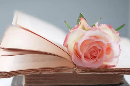 大同文化艺术学校招生专业有哪些?有戏曲专业吗?