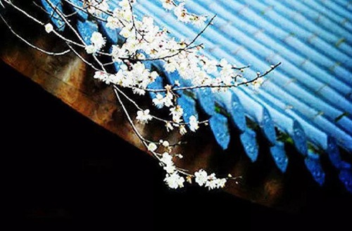 对外经济贸易大学招生专业有哪些?有财务管理专业吗?