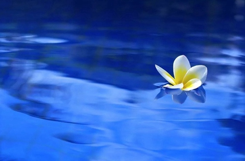 北京理工大学招生专业有哪些?有法学专业吗?