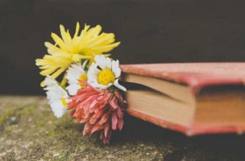 石家庄邮电职业技术学院有电子商务专业吗?