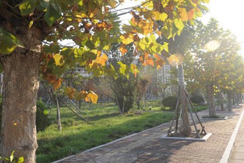 阳曲县高级职业中学校有什么专业?有银行事务与管理专业吗?