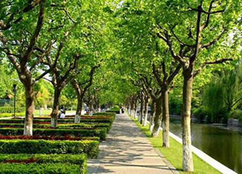 石家庄长城中等专业学校有没有市场营销专业?