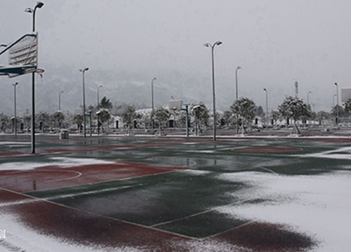 廊坊职业技术学院有哪些专业?有酒店管理专业吗?