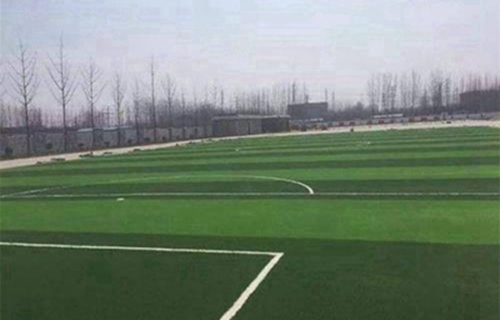 石家庄旅游学校有休闲体育服务与管理专业吗?