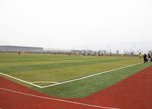 河北工业职业技术学院有会计专业吗?