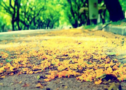 辽宁冶金职业技术学院有什么专业?有汽车检测与维修技术专业吗?