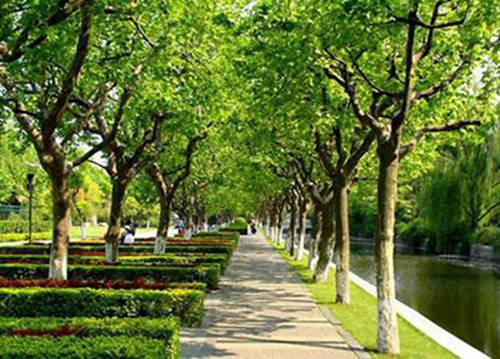 辽阳职业技术学院招生专业有哪些?有精细化学品生产技术专业吗?