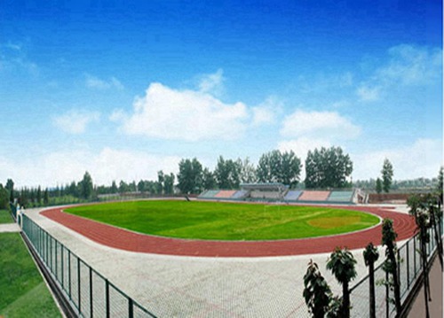 重庆江南职业学校有电子与信息技术专业吗?