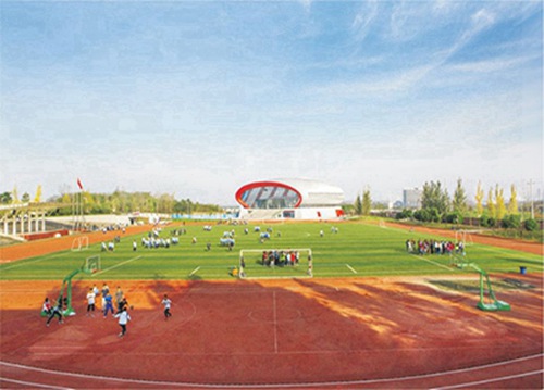 石家庄邮电职业技术学院有没有会计专业?