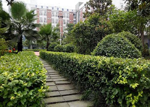 博野县职业技术教育中心有没有机械设备维修技术专业?