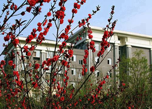 辽宁医药职业学院有哪些专业?有卫生检验与检疫技术专业吗?