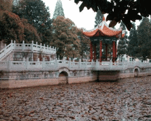 西秀区安吉职业技术学校图片