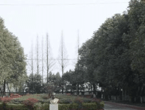 凯里市四一八卫校图片