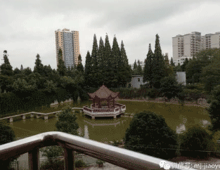 贵州林业学校图片