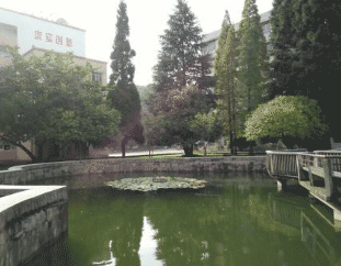 贵州林业学校图片