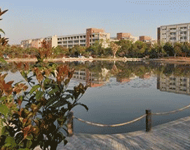 金沙第二职业技术高级中学图片