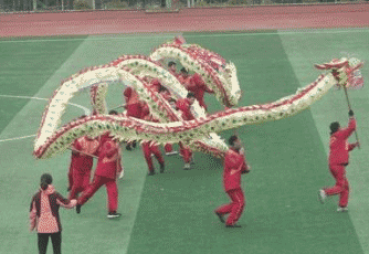 松桃苗族自治中等职业学校图片