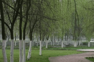 四川省水产学校(四川省生物科学技术学校)图片