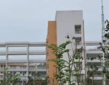 四川省犍为县职业高级中学图片