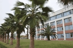 四川省峨眉山市职业技术学校图片