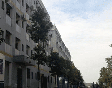 四川省苍溪实验中学校职高部图片