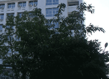 四川省达州市高级技工学校图片