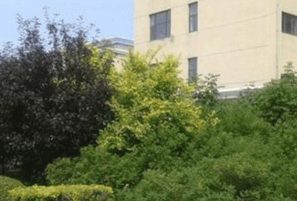 四川省达州市高级技工学校图片