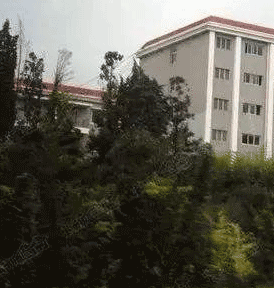 双流县华阳职业高级中学图片