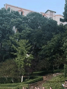 双流县华阳职业高级中学图片