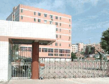 四川省隆昌县石燕职业中学图片