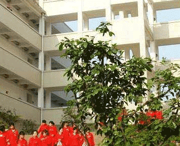 四川省隆昌县石燕职业中学图片