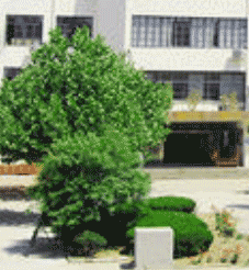 攀钢集团成都钢铁公司技工学校图片