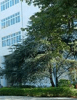 攀枝花华森职业技术学校图片