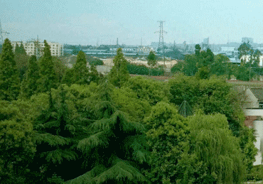 眉山信息工程中等职业技术学校图片