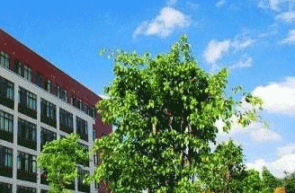 马边彝族自治县民族职业中学图片