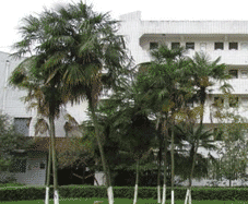 四川师范大学幼师学校图片