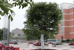 四川省信息通信学校图片