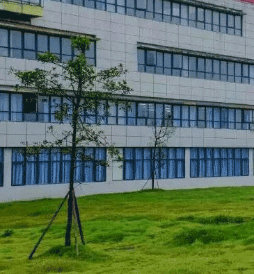 成都西翔航空学院图片