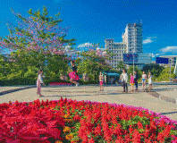 攀枝花电子科技学校图片