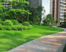 凉山州高级职业技术学校图片