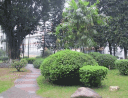 绵阳世纪石油工程学校图片