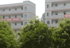 乐至县石佛职业中学图片