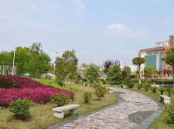 广元市第一职业技术学校图片