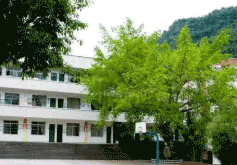 乐山市中区育贤中等职业学校图片