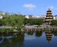 射洪县金龙职业技术学校图片