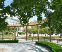 乐山西成职业学校图片